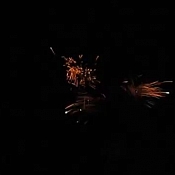 Юрий Жолнерик, Беларусь - фото 3