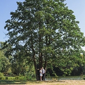 Фотограф Игорь Маркевич, Беларусь - фото 3