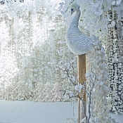 Свадебный оформитель Max &  Mari, Беларусь - фото 3