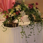 Ольга Мастерская "1001 День"