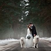 Фотограф Ольга Ильина, Беларусь - фото 1