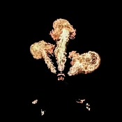 Robert Mikhailiuk, Беларусь - фото 3