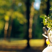 Видеограф Владимир Анцыпорович, Беларусь - фото 3