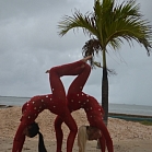 Таня Наруцкая