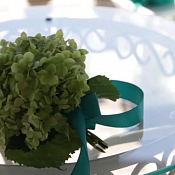 Видеограф Алексей Аверук, Беларусь - фото 3