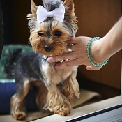 Фотограф Елена Бородина, Беларусь - фото 2