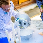 Научное шоу "Лаборатория ИКС", Беларусь - фото 3