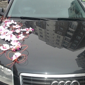 Аренда Audi A8 d3  , Беларусь - фото 3