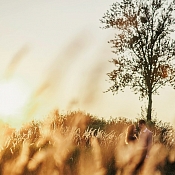 Фотограф Антон Коноплицкий, Беларусь - фото 2