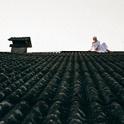 Фотограф Миша Шутеев, Беларусь - фото 3