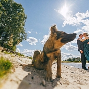 Фотограф Леонид Древило, Беларусь - фото 3