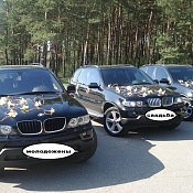 Аренда BMW E53  , Беларусь - фото 3