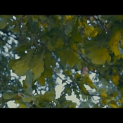 Видеограф Игорь Гунь, Беларусь - фото 1