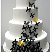 The Snack Studio   - свадебные торты, Беларусь - фото 1