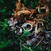 Фотограф Александр Тривашкевич, Беларусь - фото 1