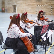 Квартет(трио) "Golden Cherry", Беларусь - фото 3