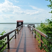 Усадьба «Березинский биосферный заповедник»  , Беларусь - фото 3