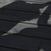 Видеограф Дмитрий Скапцов, Беларусь - фото 3