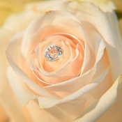 Фотограф Светлана Гайда, Беларусь - фото 3