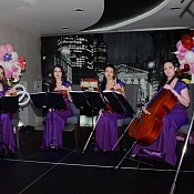 Брюнет Квартет, Беларусь - фото 1