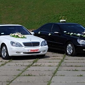 Аренда Mercedes W220  , Беларусь - фото 3