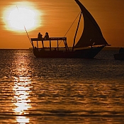 Фотограф Алена  Табола, Беларусь - фото 2