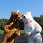 Шоу танцующих медведей Medvedoff