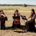 Квартет(трио) "Golden Cherry"