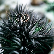 Фотограф Алексей Быстров, Беларусь - фото 2