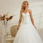 Exclusive Collection