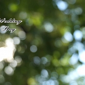 Видеограф Олег Шкуднов, Беларусь - фото 3